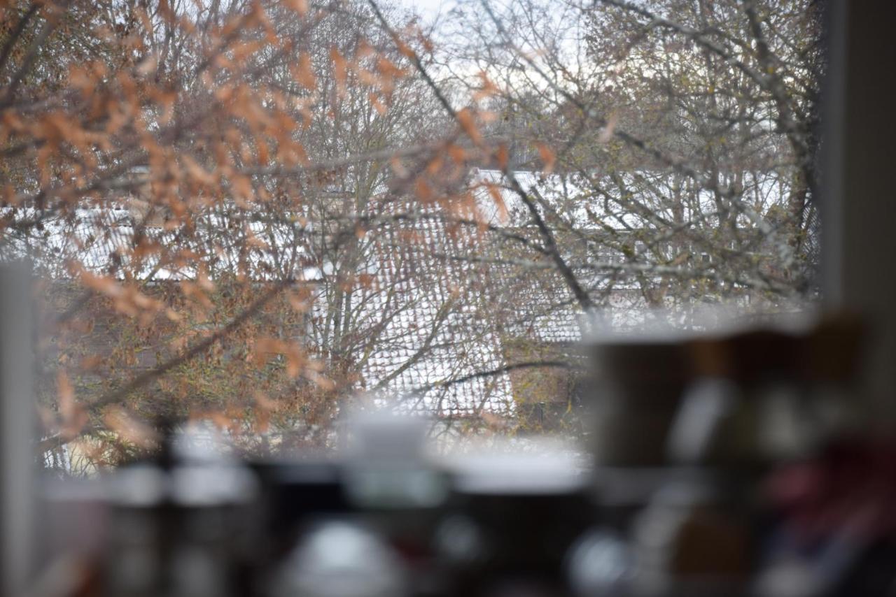 Parka Apartamenti Kuldīga Exteriör bild